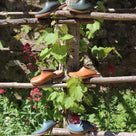 Rouchette Origin Garden Clog - Amber