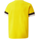 t-shirt-puma-teamrise-jersey-jr-704938-07