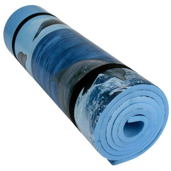 sleeping-pad-meteor-eva-single-layer-dolphin-78004