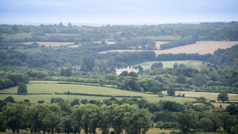 Walking In The Kent Downs