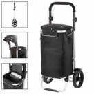 allround-cruiser-650064-shopping-trolley