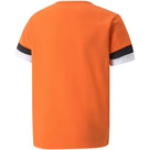 t-shirt-puma-teamrise-jersey-jr-704938-08