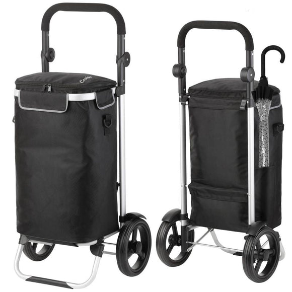 allround-cruiser-650064-shopping-trolley