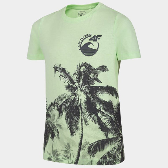 t-shirt-4f-jr-hjl22-jtsm013-72s